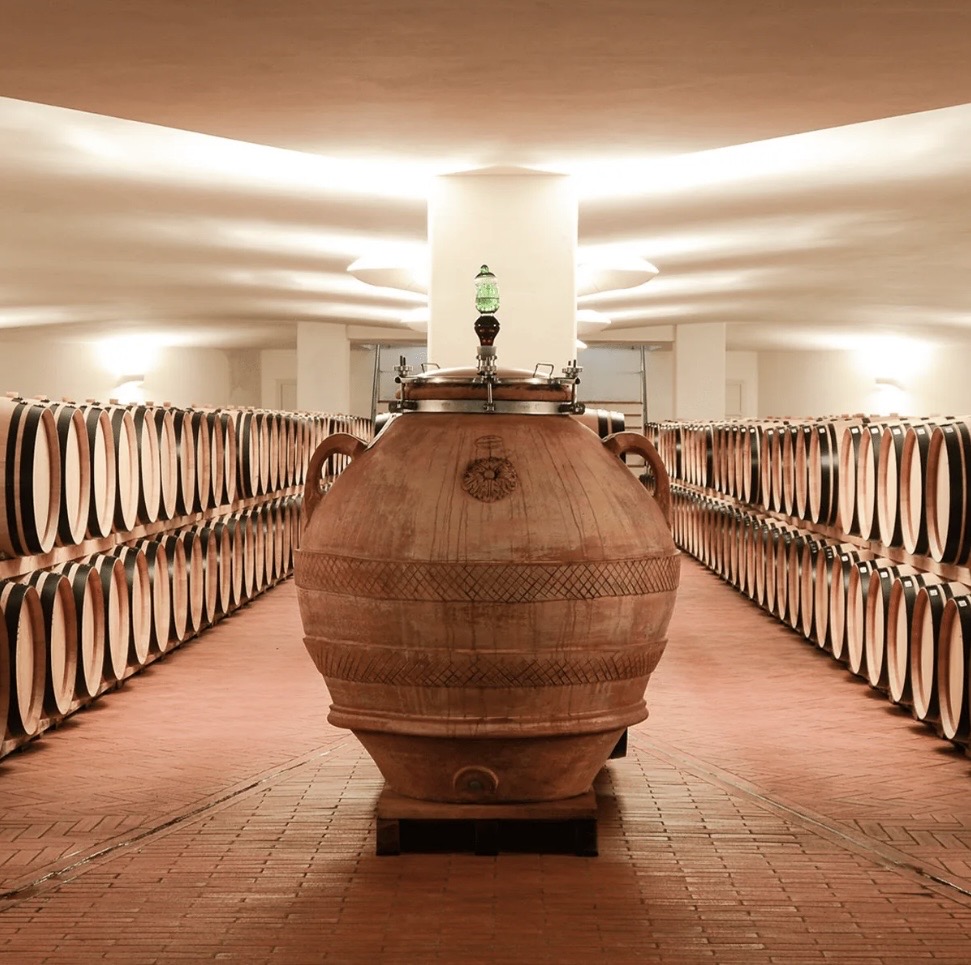 A Manetti terracotta amphora fitted with a stainless steel lid, standing among oak barrels in a winery cellar