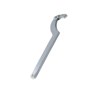 C-Spanner